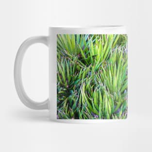 Dana Point Greenery Mug